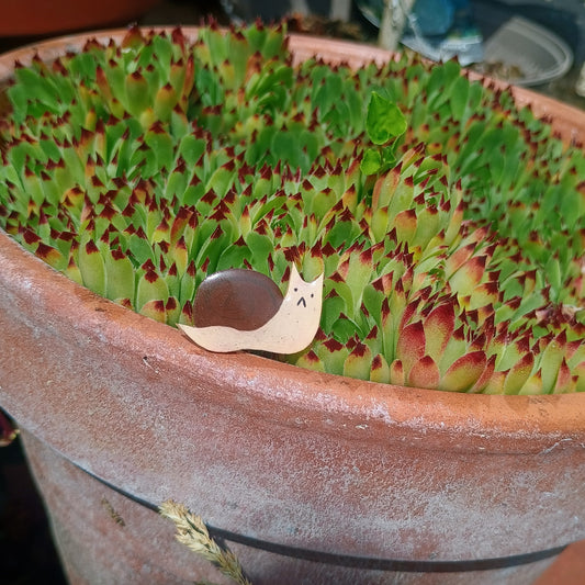 Snail Pin