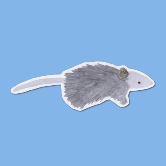 Possum Sticker